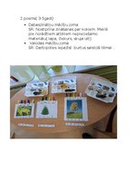 Paraugs 'Didaktiska spēle dabaszinātņu mācību jomā', 2.