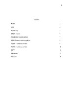 Paraugs 'Biznesa procesu vadība', 2.