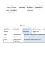 Paraugs 'Biznesa procesu vadība', 6.