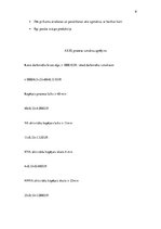 Paraugs 'Biznesa procesu vadība', 9.