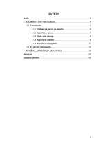 Referāts 'Datoratkarība jauniešu vidū', 2.