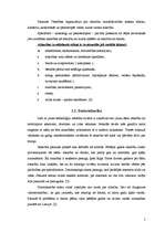 Referāts 'Datoratkarība jauniešu vidū', 5.