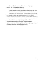 Konspekts 'Apzināties neizprotamo', 5.