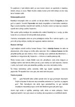 Konspekts 'Ādolfa Alunāna lugas “Seši mazi bundzenieki” apraksts un analīze', 11.