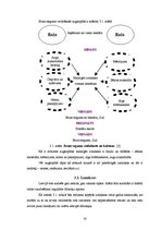 Referāts 'Rapša audzēšana, attīstība un ekonomiskais aspekts', 20.