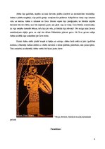 Referāts 'Grieķu un romiešu dievi', 6.