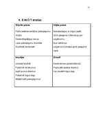 Prakses atskaite 'Prakses atskaite uzņēmējdarbībā', 13.