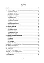 Referāts 'Sabiedrība ar ierobežotu atbildību "TAXI 2828" ', 2.