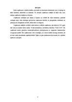 Referāts 'Sabiedrība ar ierobežotu atbildību "TAXI 2828" ', 4.