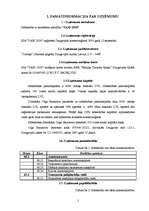 Referāts 'Sabiedrība ar ierobežotu atbildību "TAXI 2828" ', 5.