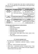 Referāts 'Sabiedrība ar ierobežotu atbildību "TAXI 2828" ', 7.