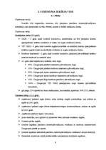 Referāts 'Sabiedrība ar ierobežotu atbildību "TAXI 2828" ', 9.