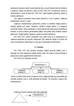 Referāts 'Sabiedrība ar ierobežotu atbildību "TAXI 2828" ', 11.