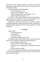 Referāts 'Sabiedrība ar ierobežotu atbildību "TAXI 2828" ', 14.