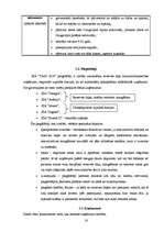 Referāts 'Sabiedrība ar ierobežotu atbildību "TAXI 2828" ', 16.