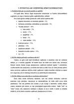 Referāts 'Sabiedrība ar ierobežotu atbildību "TAXI 2828" ', 25.