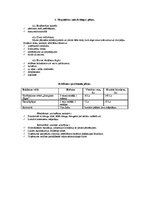 Biznesa plāns 'Tetovēšanas salona biznesa plāns', 6.