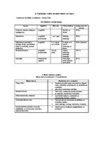 Biznesa plāns 'Tetovēšanas salona biznesa plāns', 8.