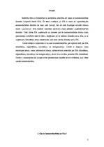 Referāts 'Sabiedrība ar irobežotu atbildību kā viena no komercdarbības formām', 3.