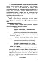 Referāts 'Sabiedrība ar irobežotu atbildību kā viena no komercdarbības formām', 5.