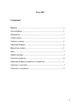 Referāts 'Создание бренда картофельных чипсов "Premium Chips"', 2.