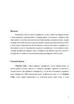 Referāts 'Создание бренда картофельных чипсов "Premium Chips"', 3.