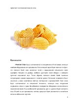 Referāts 'Создание бренда картофельных чипсов "Premium Chips"', 4.