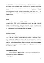 Referāts 'Создание бренда картофельных чипсов "Premium Chips"', 7.