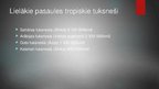 Prezentācija 'Tropu tuksneši', 4.