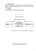 Konspekts 'Subprodukti', 9.