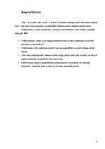 Konspekts 'Subprodukti', 15.