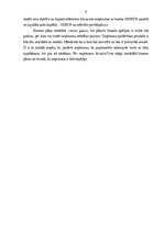 Biznesa plāns 'Sabiedrība ar ierobežotu atbildību "ShineOnTime"', 4.