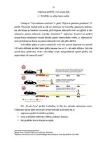 Biznesa plāns 'Sabiedrība ar ierobežotu atbildību "ShineOnTime"', 18.