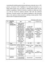 Biznesa plāns 'Sabiedrība ar ierobežotu atbildību "ShineOnTime"', 21.