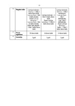 Biznesa plāns 'Sabiedrība ar ierobežotu atbildību "ShineOnTime"', 22.