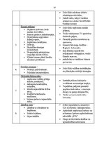 Biznesa plāns 'Sabiedrība ar ierobežotu atbildību "ShineOnTime"', 28.