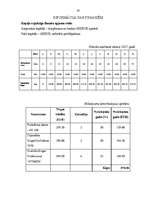 Biznesa plāns 'Sabiedrība ar ierobežotu atbildību "ShineOnTime"', 30.