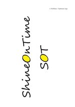 Biznesa plāns 'Sabiedrība ar ierobežotu atbildību "ShineOnTime"', 37.