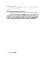 Biznesa plāns 'Biznesa plāns SIA "Limbažu tenisa korti"', 9.