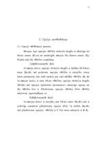 Referāts 'Opcijas', 11.