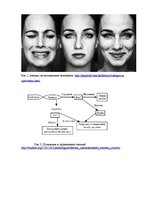 Referāts 'Управление эмоциями', 13.