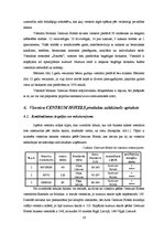 Referāts 'Viesnīcu ķēde "CENTRUM HOTELS", viesnīcu pakalpojumi un to salīdzinošā analīze', 26.