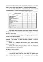 Referāts 'Viesnīcu ķēde "CENTRUM HOTELS", viesnīcu pakalpojumi un to salīdzinošā analīze', 32.