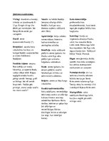 Konspekts 'Agrie viduslaiki', 1.