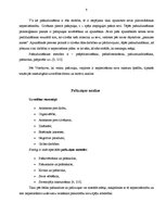 Referāts 'Pašaudzināšana', 6.