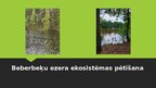 Prezentācija 'Beberbeķu ezera ekosistēmas pētīšana', 1.