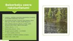 Prezentācija 'Beberbeķu ezera ekosistēmas pētīšana', 4.