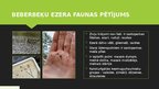 Prezentācija 'Beberbeķu ezera ekosistēmas pētīšana', 10.
