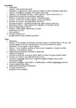 Konspekts 'Vēdersāpju biežākie iemesli bērniem', 1.