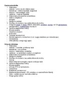 Konspekts 'Vēdersāpju biežākie iemesli bērniem', 2.